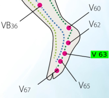 V63 pohled z boku